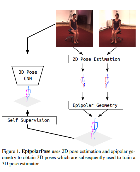 Fig1